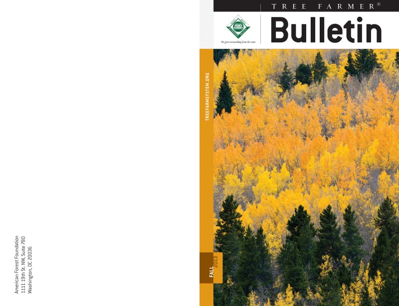 TFB_Fall2013_v3.pdf-1